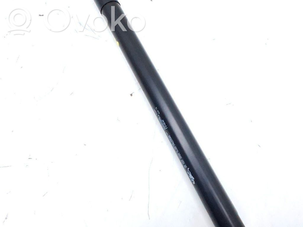 Peugeot 308 Tampon hayon/capotă portbagaj 