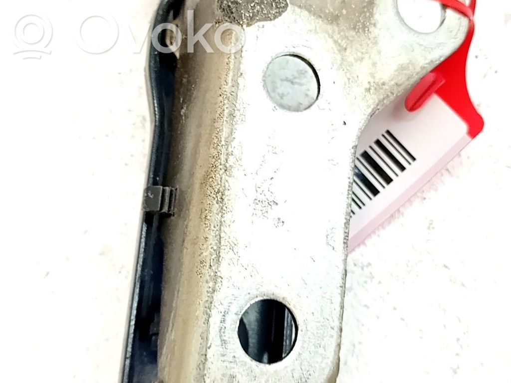 Volkswagen Polo Cerniere del vano motore/cofano