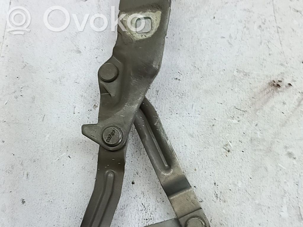 Renault Scenic I Balamale capotă 