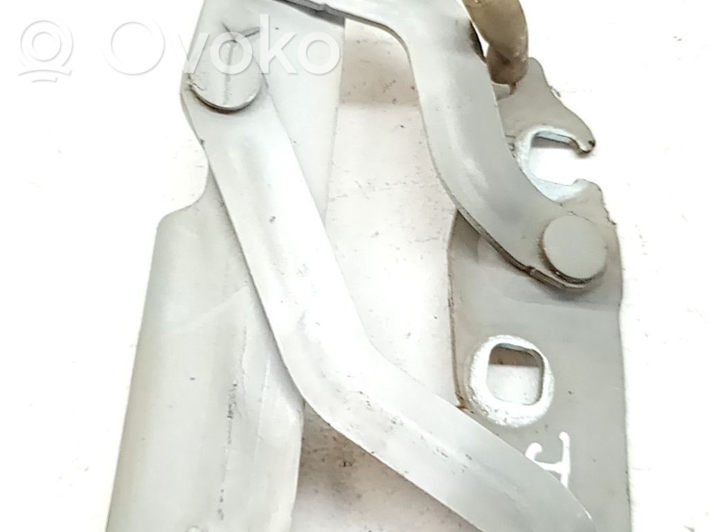 Balamale capotă   1673016,8A6116801AD
