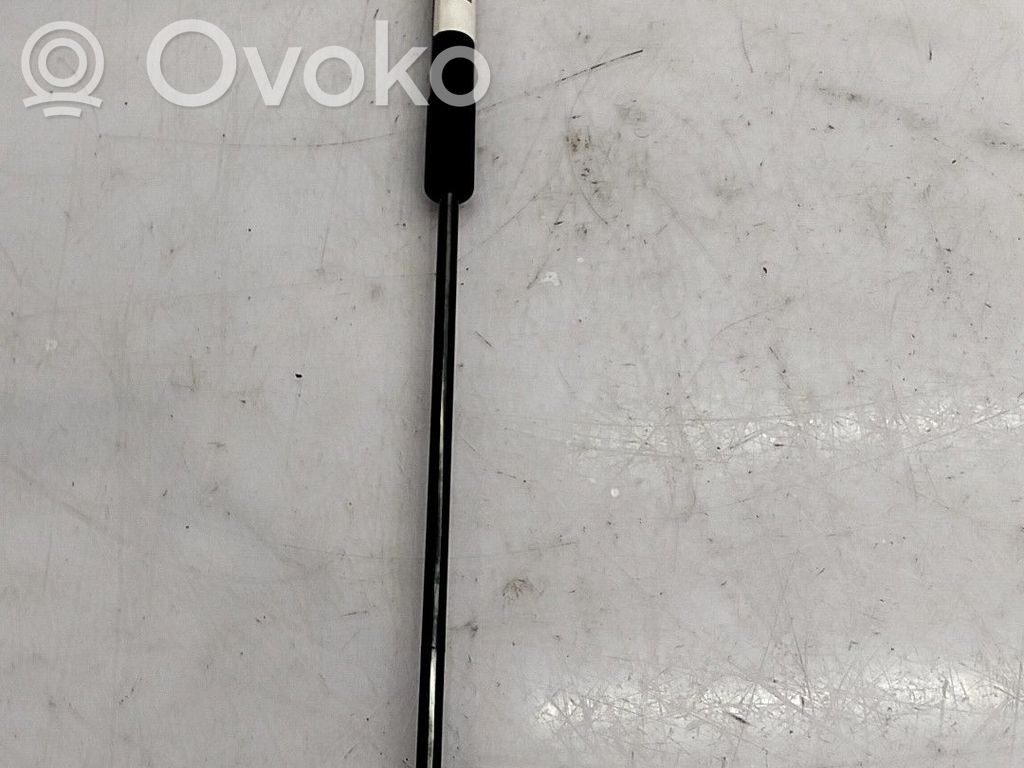 Tailgate/trunk/boot lid buffer   LR025379