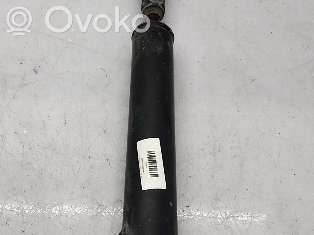 Priekšējais tilts   372002X800