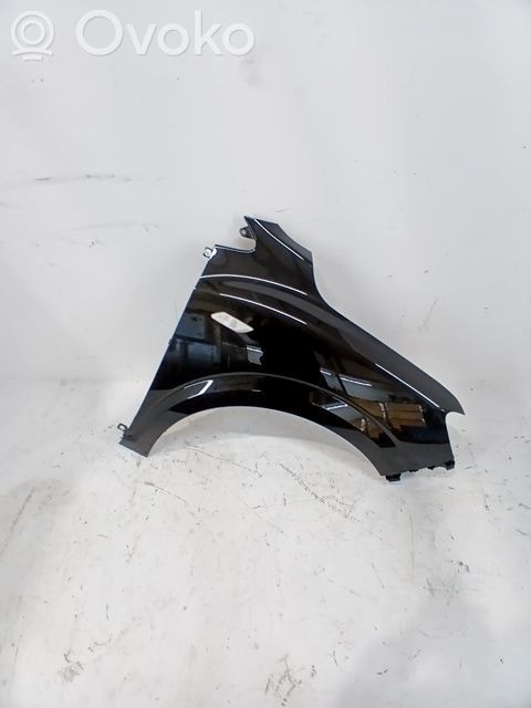 Dacia Sandero Front arch 