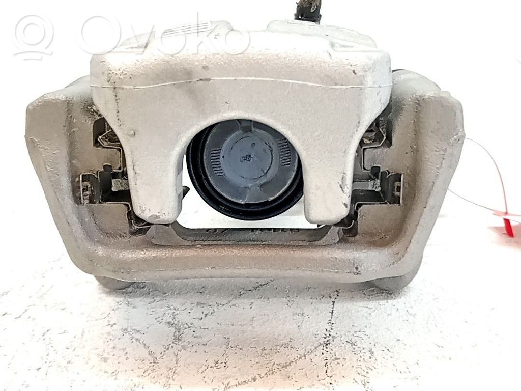 Takajarrusatula   1635254880