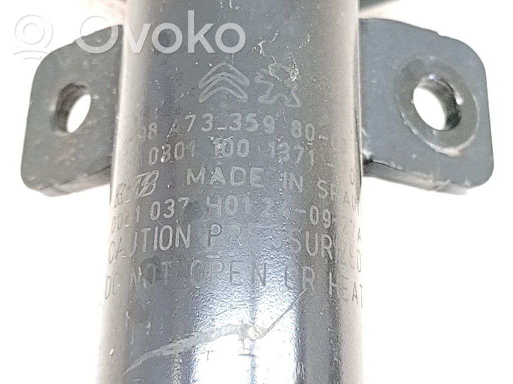 Stoßdämpfer vorne   9833305980