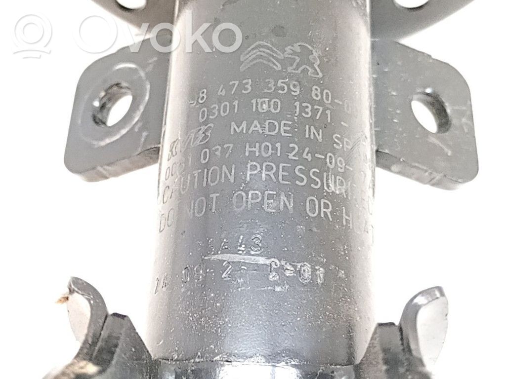 Stoßdämpfer vorne   9833305980