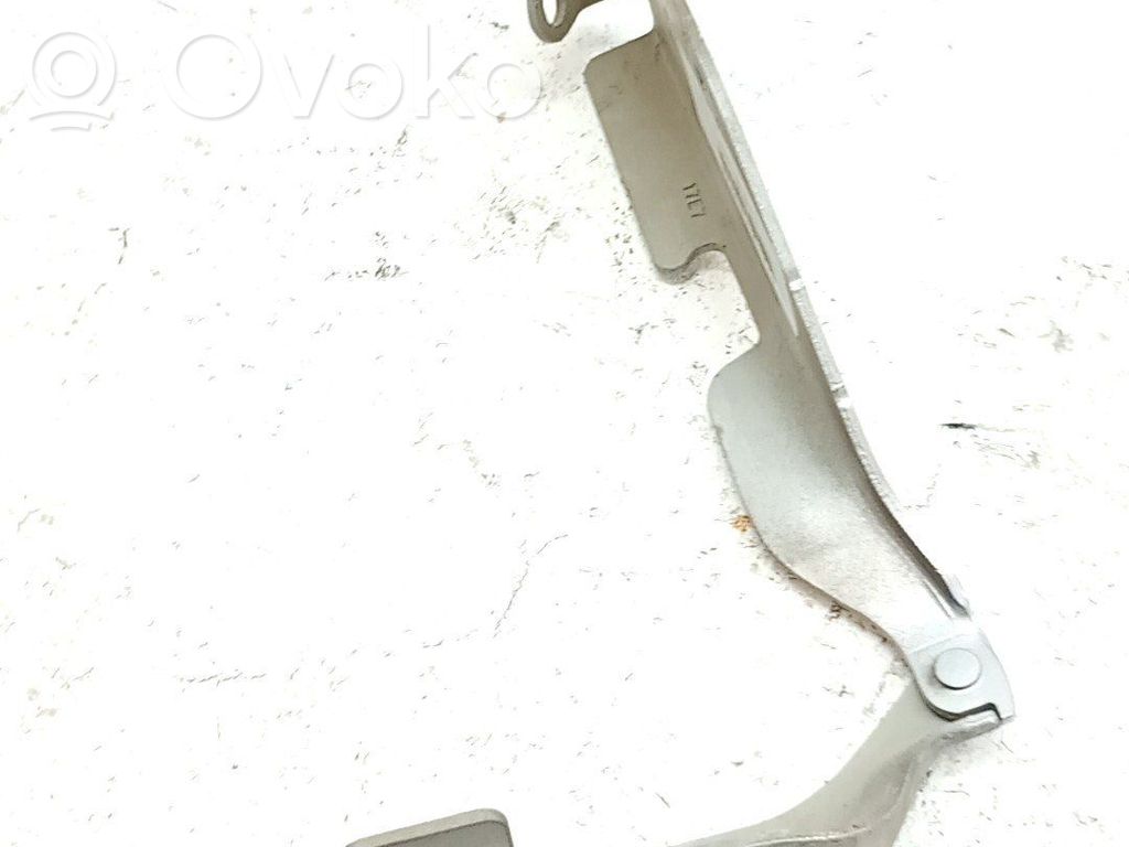 Citroen C3 Cerniere del vano motore/cofano 