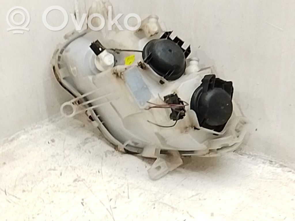 Far   Q0013466V003000000