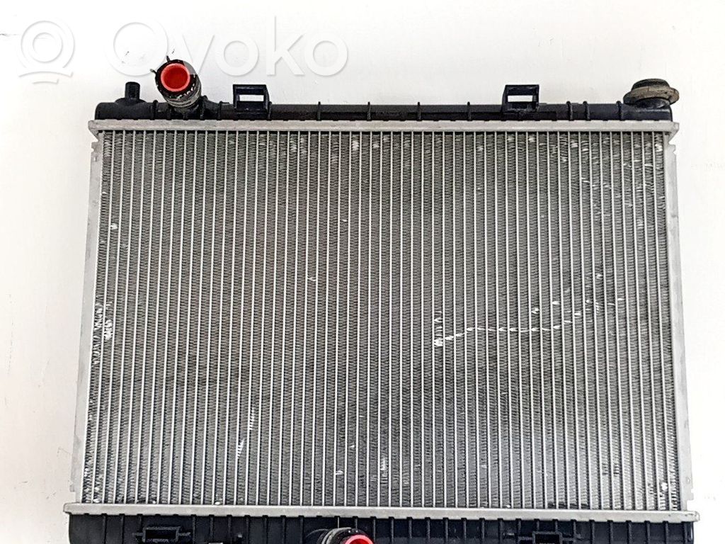Ford Fiesta Radiator lichid răcire 