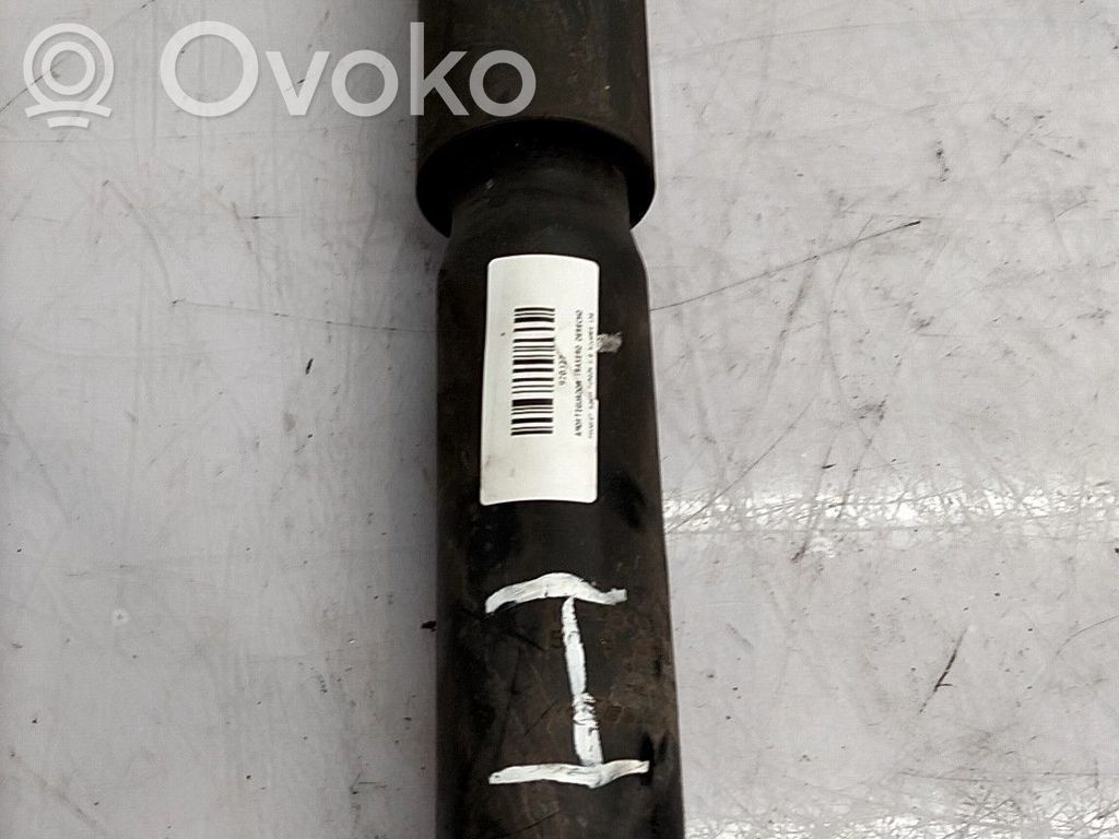 Stoßdämpfer hinten   5206VC