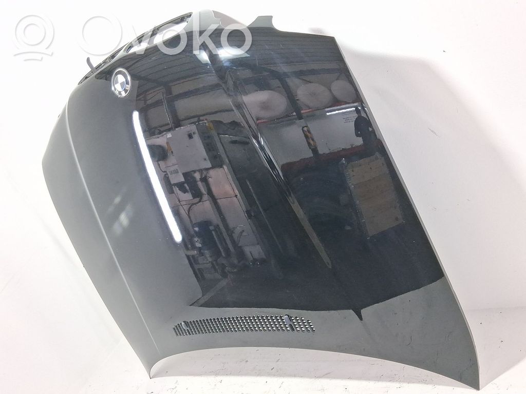 Capó/tapa del motor   41617016417