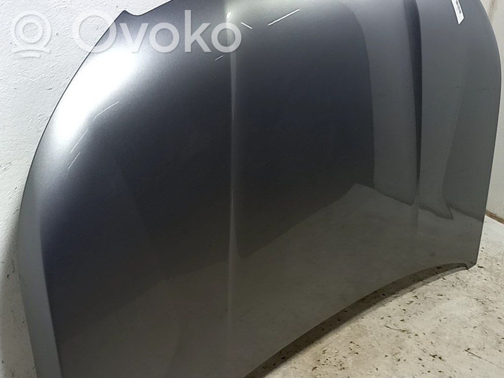 Capó/tapa del motor   9831044380