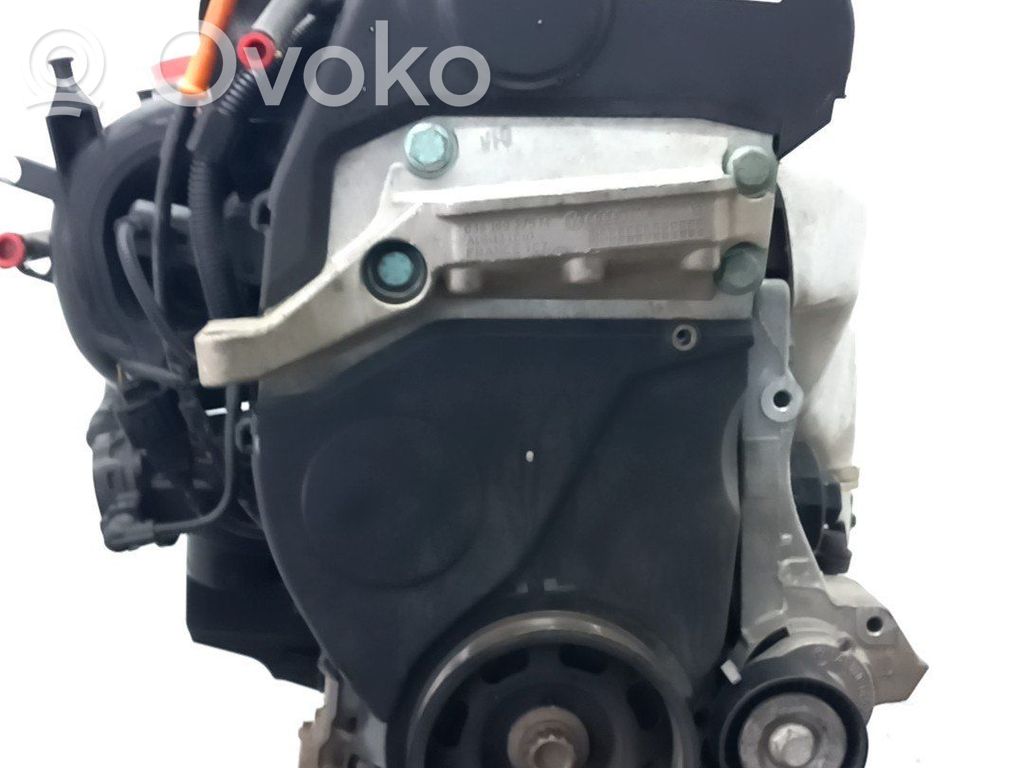 Seat Ibiza III (6L) Motor completo 