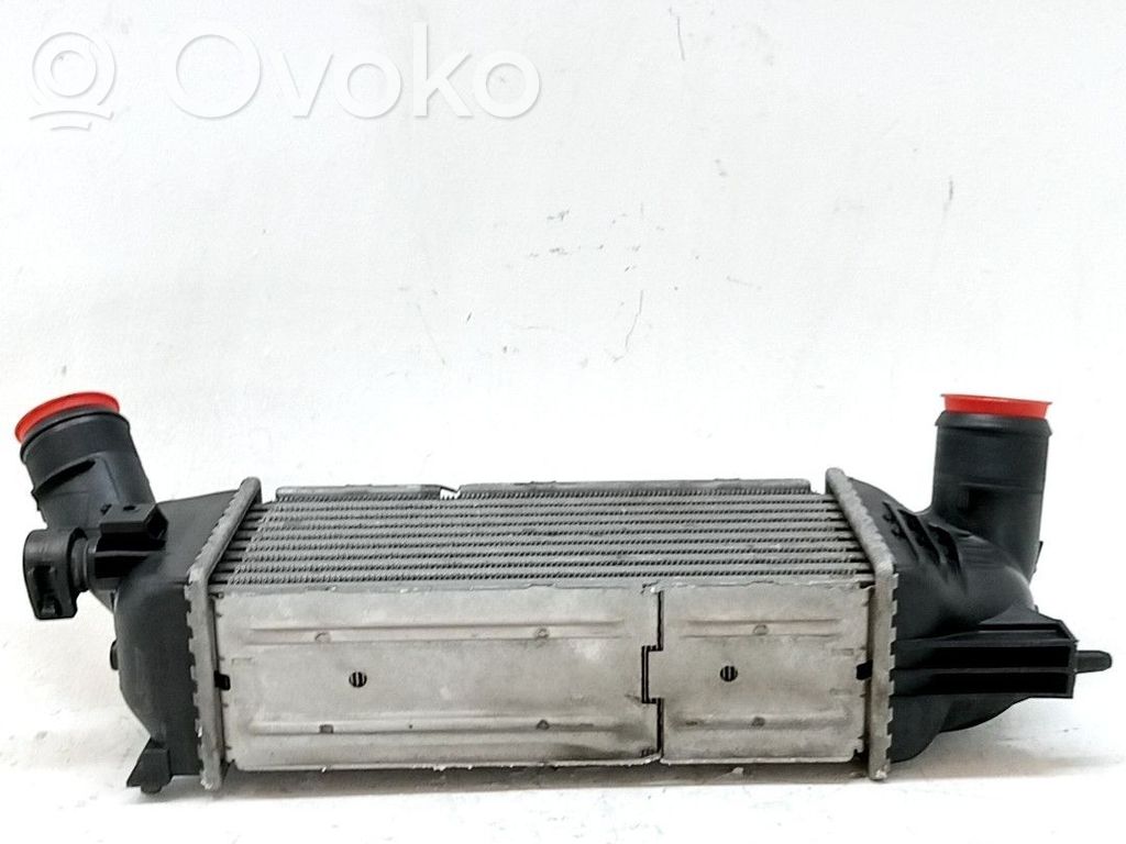 Interkūlerio radiatorius   384G6