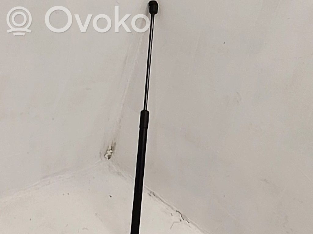 Konepellin kaasujousi   24465295