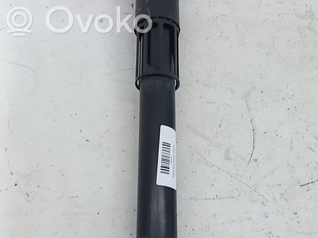 Volkswagen Tiguan Amortizor spate 