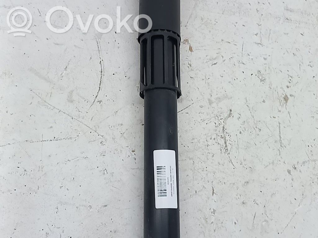 Volkswagen Tiguan Amortizor spate 