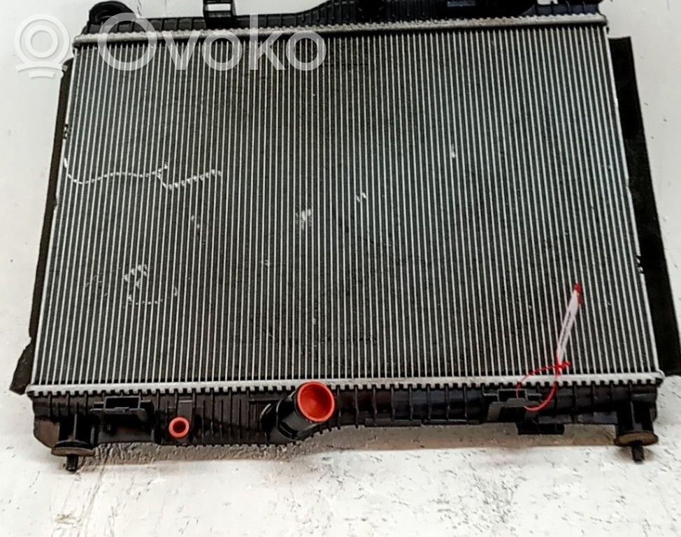 Radiatore di raffreddamento   2545469,H1BG8005DA