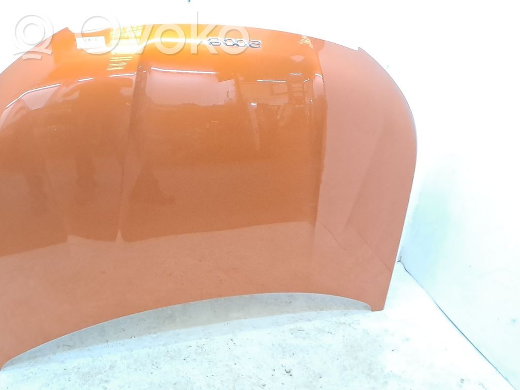 Motorhaube   9831044380