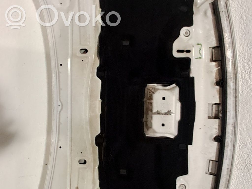 Capó/tapa del motor   5262148,CJ54S16612AJ