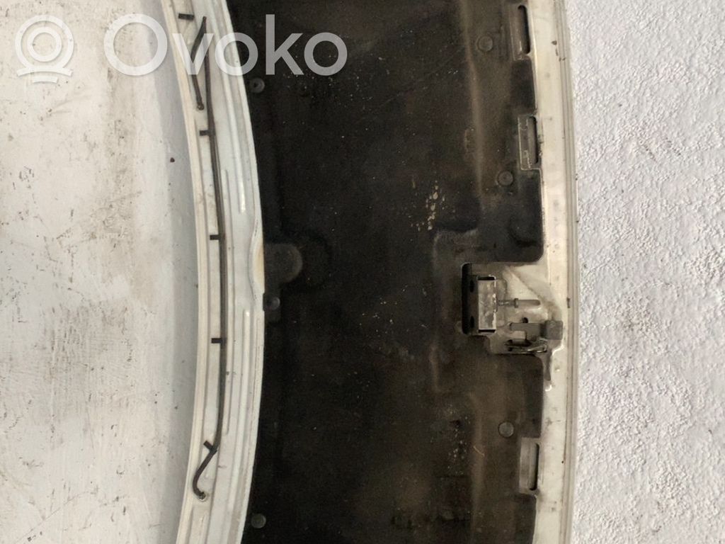 Motorhaube   7901H2