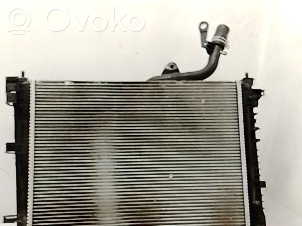 Radiateur de refroidissement   214103645R
