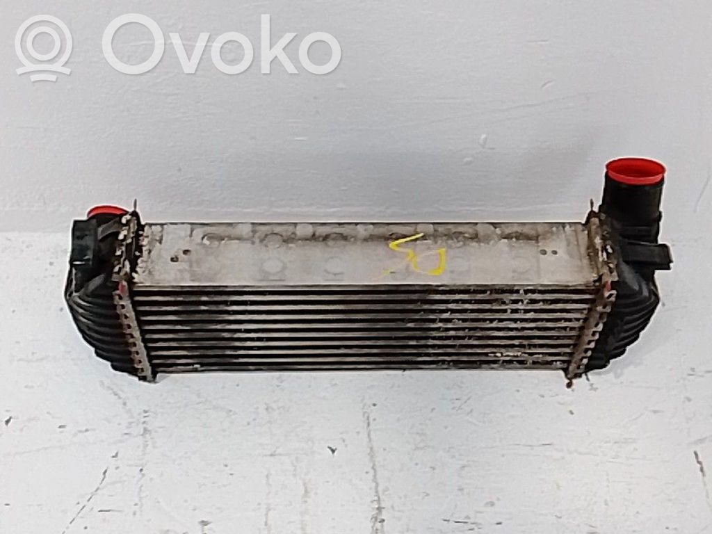 Radiador intercooler   8200427469