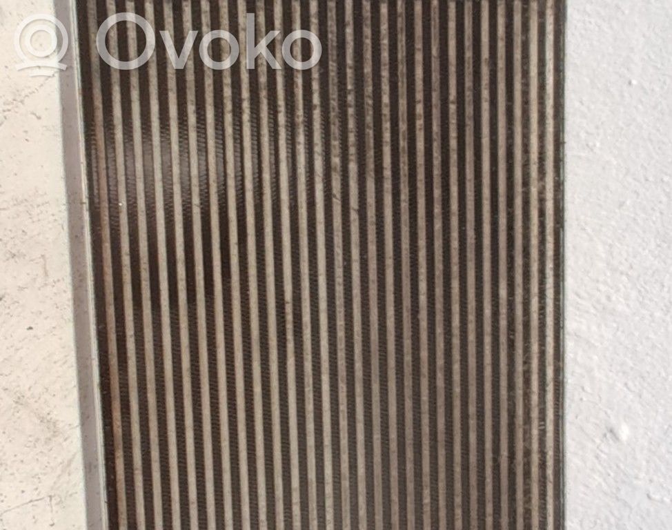 Seat Toledo III (5P) Radiator intercooler