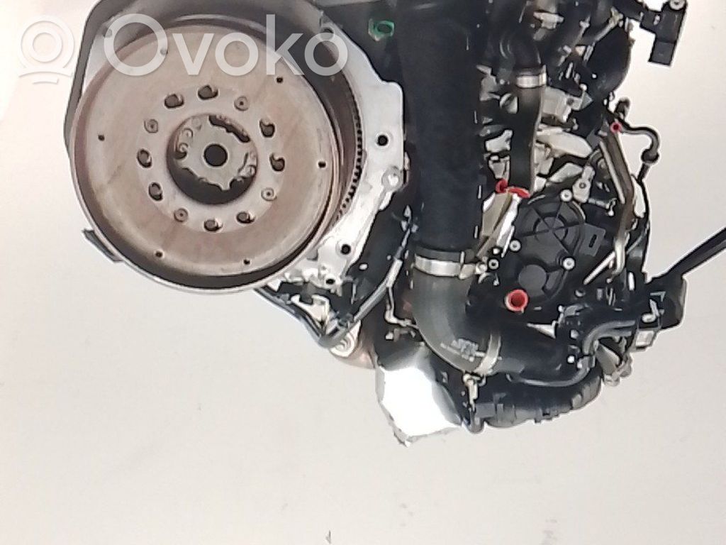 Audi A4 S4 B9 8W Moottorisarja 