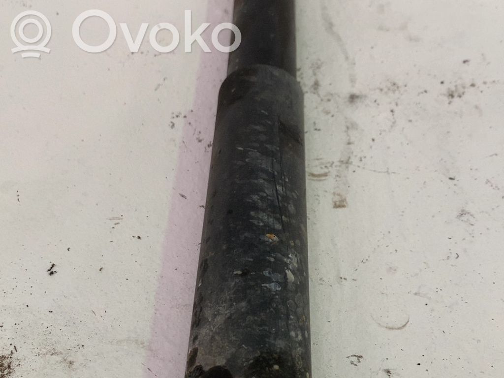 Stoßdämpfer hinten   E6210JX50C