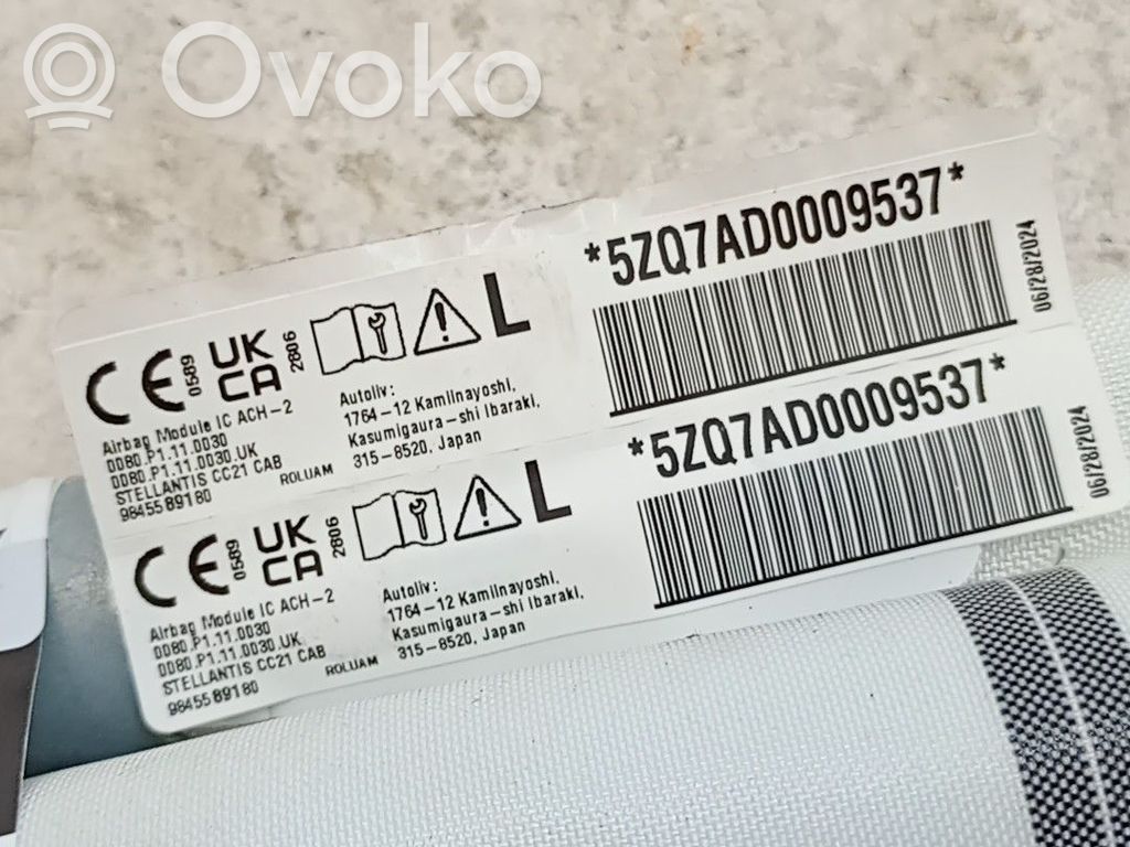 Airbag del techo   9845589180