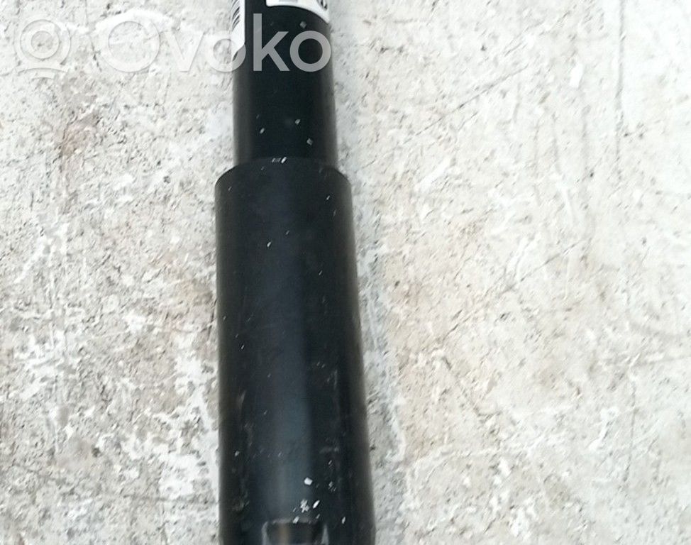 Stoßdämpfer hinten   5206TS