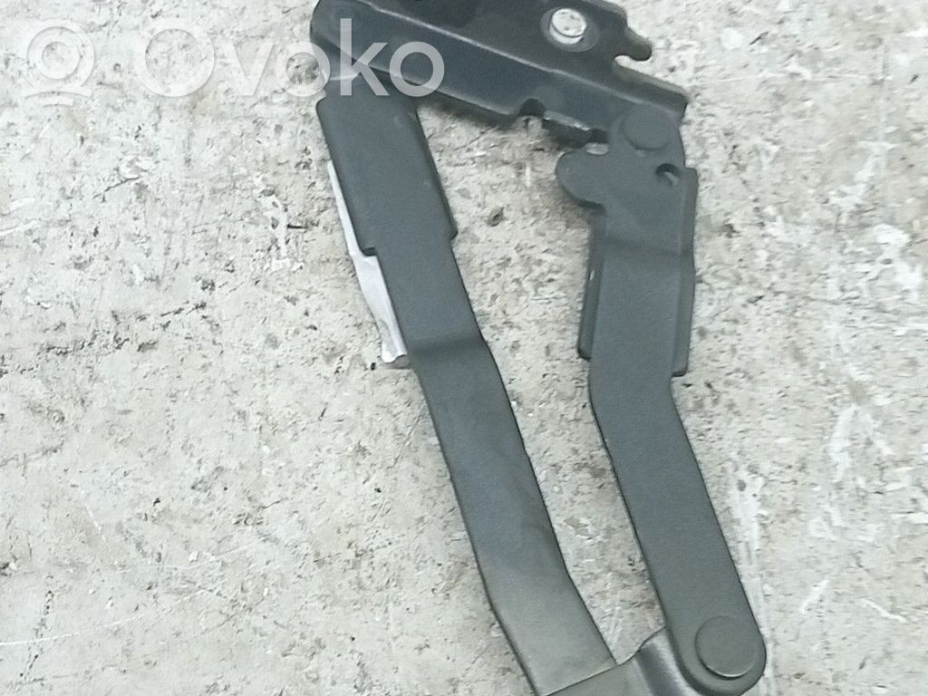 Citroen C8 Cerniere del vano motore/cofano 