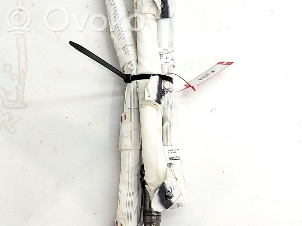 Renault Megane IV Airbag da tetto 