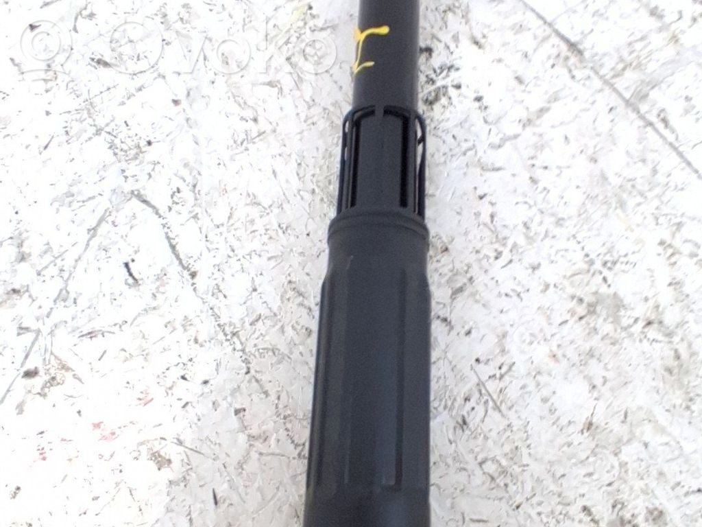 Stoßdämpfer hinten   10598787