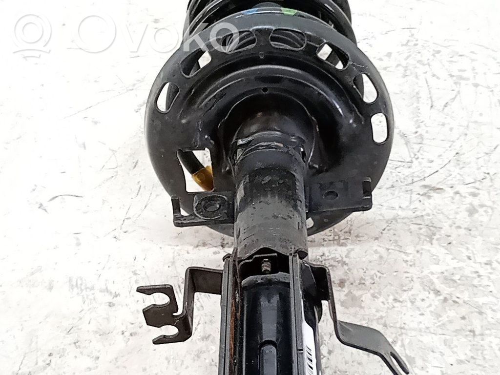 Amortiguador delantero   543020008R