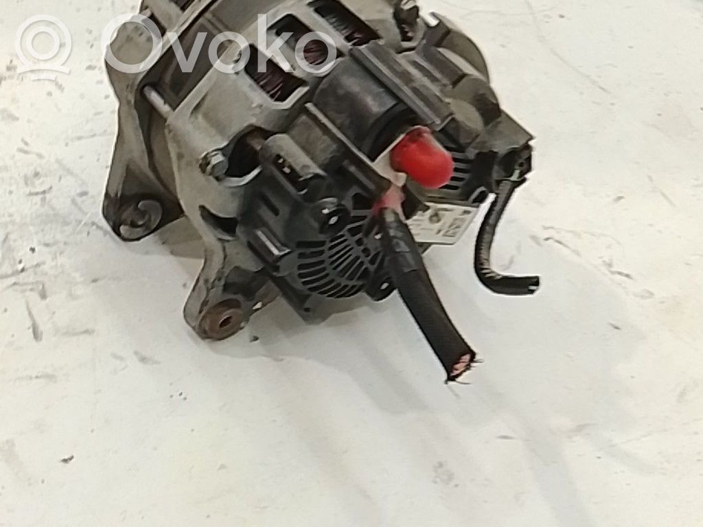 Generatore/alternatore   231005300R