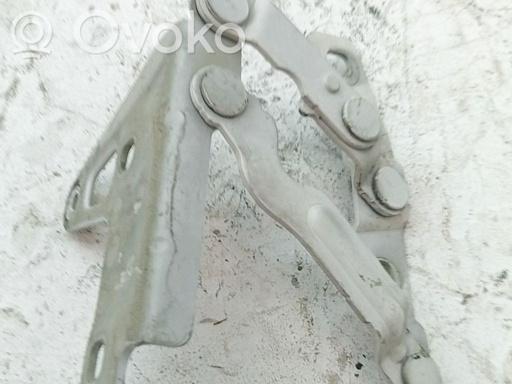 Cerniere del vano motore/cofano   1P0823301