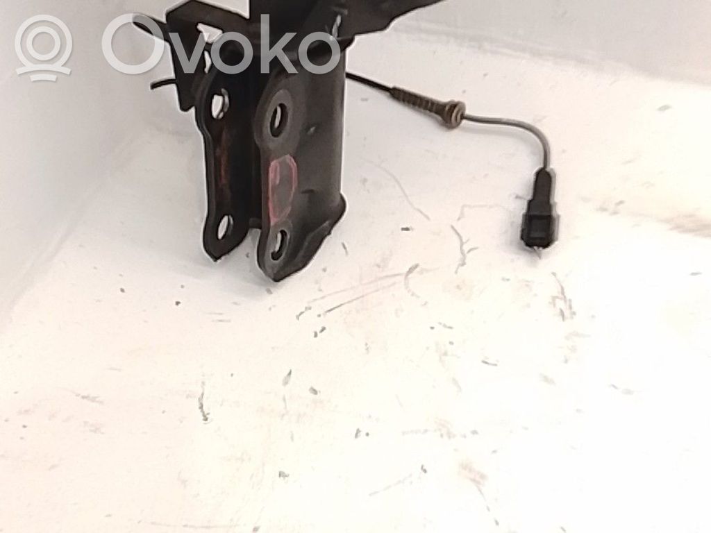 Amortiguador delantero   543020474R