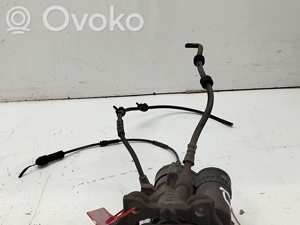 Takajarrusatula   34216785612