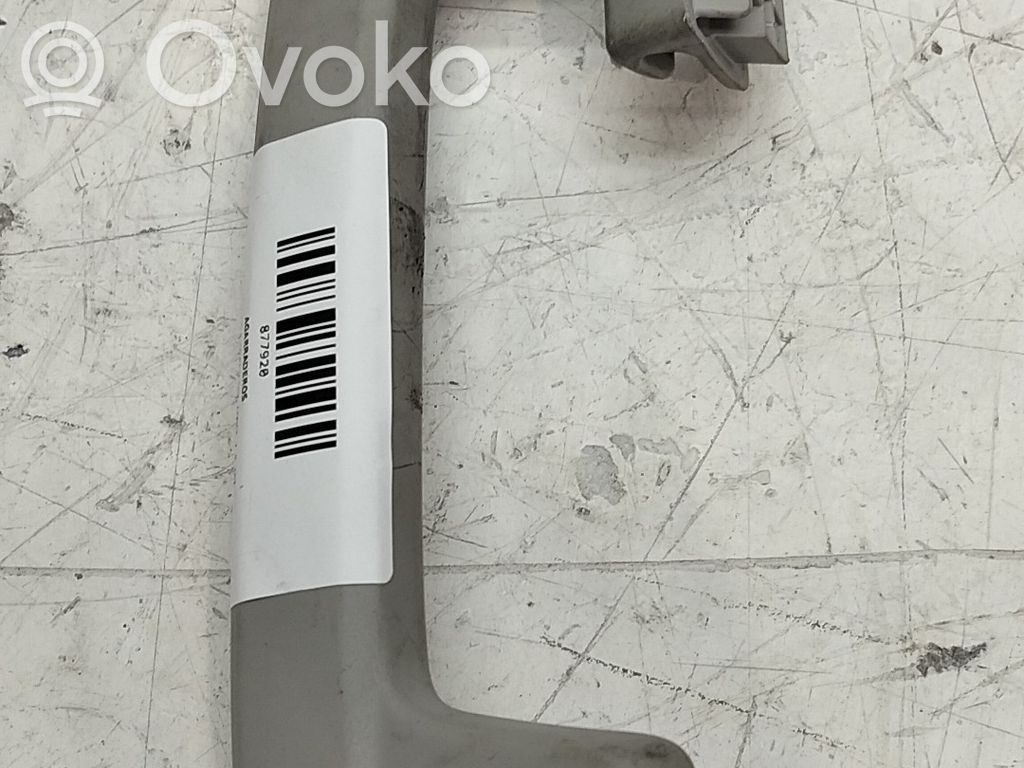 Volkswagen Golf VIII Handlauf Dachhimmel 