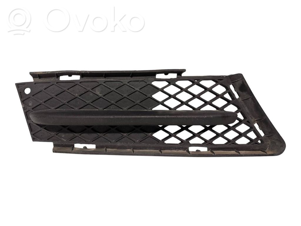 Front bumper lower grill   51117154552