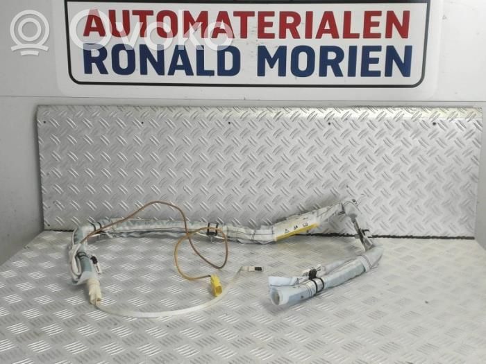 Ford C-MAX I Kattoturvatyyny 