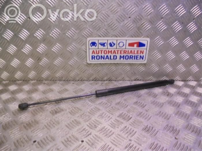 Ford Focus Tailgate/trunk strut/damper 