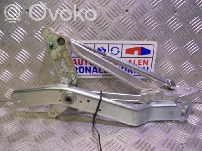 Volkswagen Phaeton Tailgate/trunk/boot hinge 