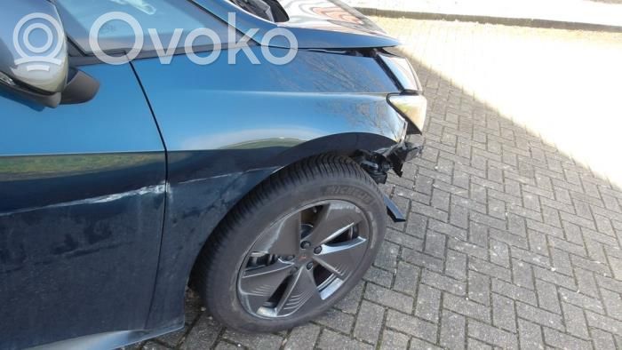 Cupra Born Sparnas 