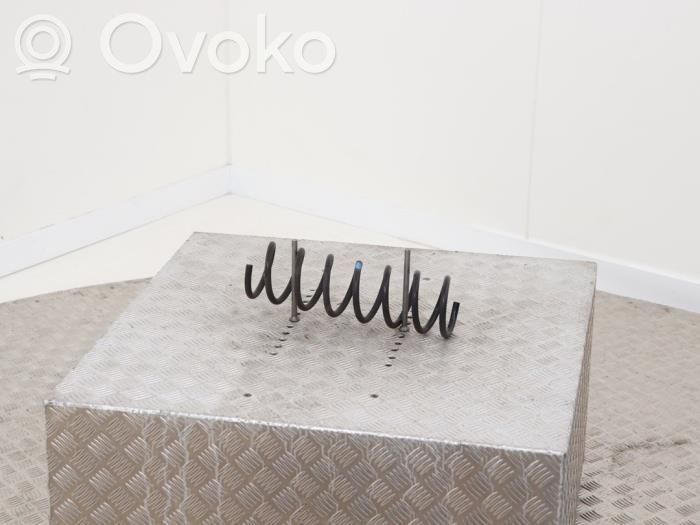 Ford Focus Rear coil spring 