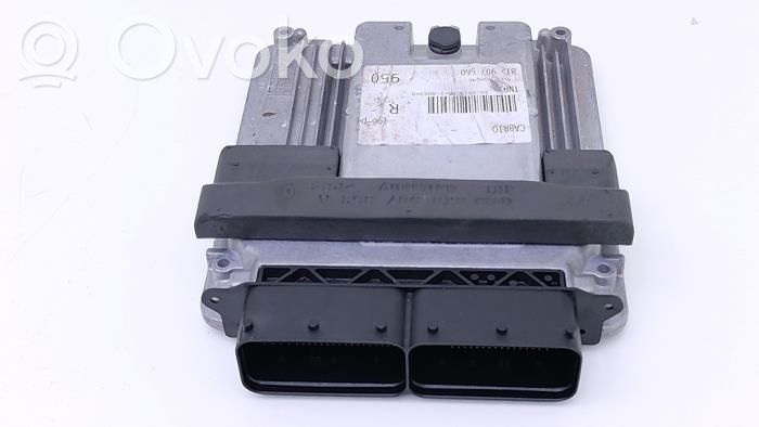 Audi RS5 Fuel injection control unit/module 