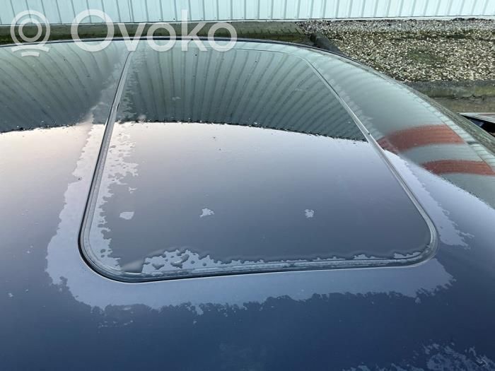 Porsche Panamera (970) Dach 