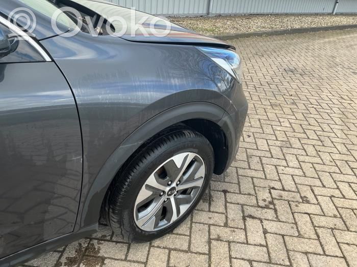 KIA Niro Guardabarro 